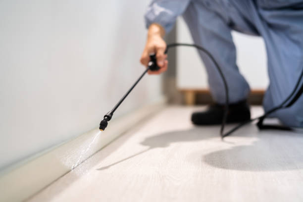 Licensed Mosquito Control service in Tecumseh, MI - Nex Pest Control