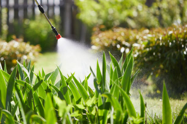 24/7 Emergency Mosquito Control experts in Tecumseh, MI