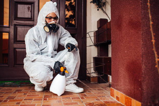Reliable Mosquito Control contractor in Tecumseh, MI by Nex Pest Control