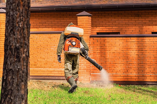 Top rated local Mosquito Control specialists in Tecumseh, MI